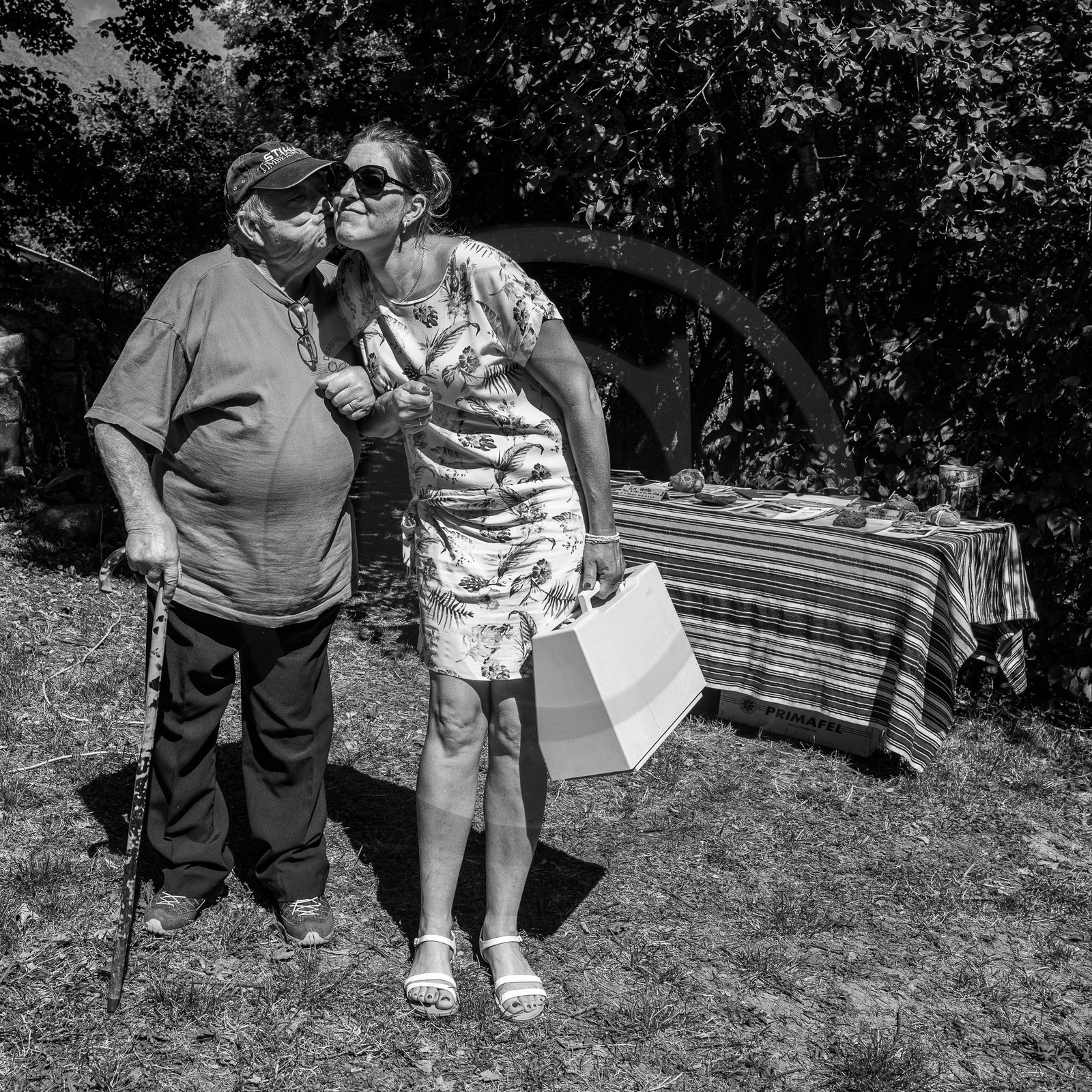 06 septembre 2023 : laine, couture et semis 06 septembre 2023 : laine, couture et semis