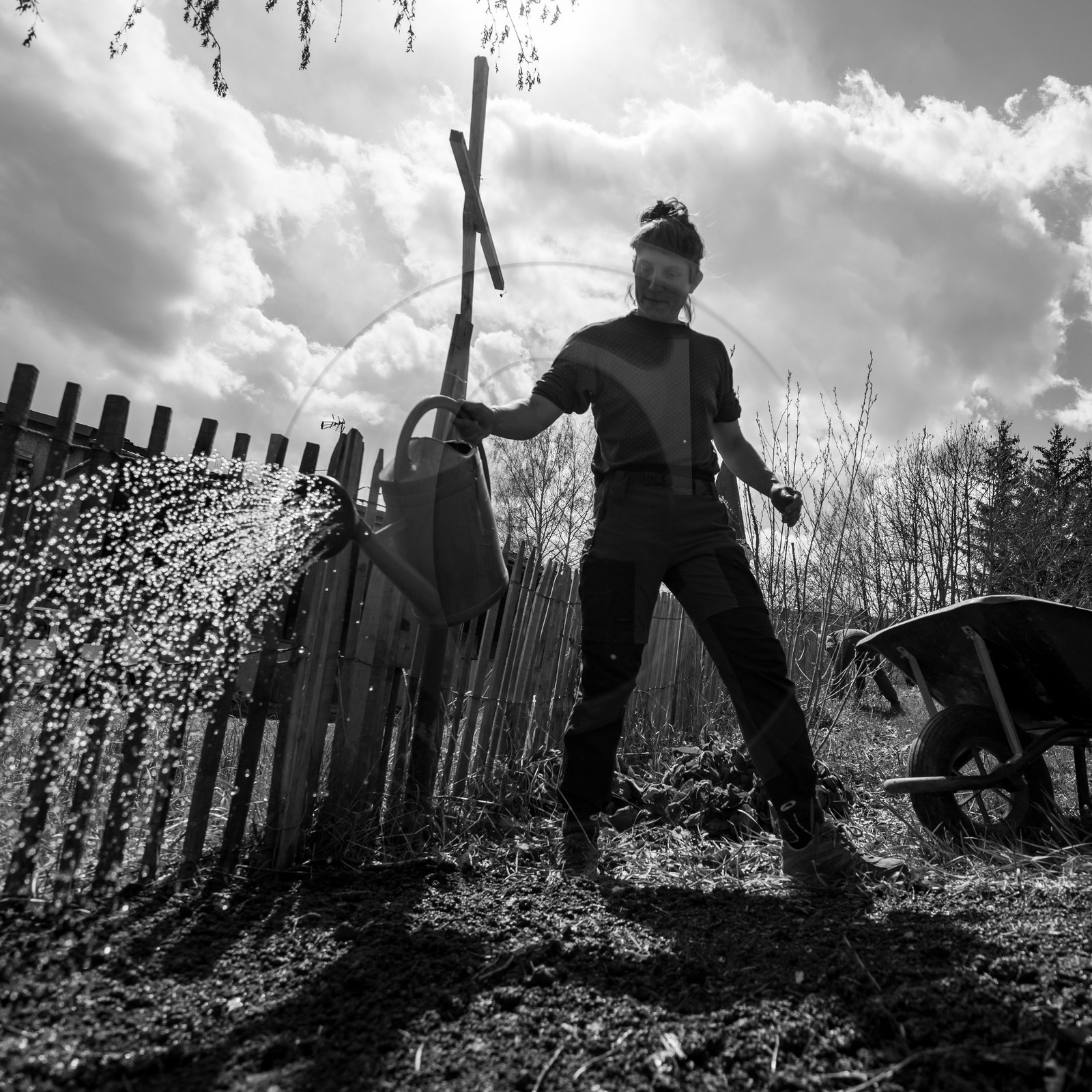 14 avril 2021 : collages, taille, jardinage