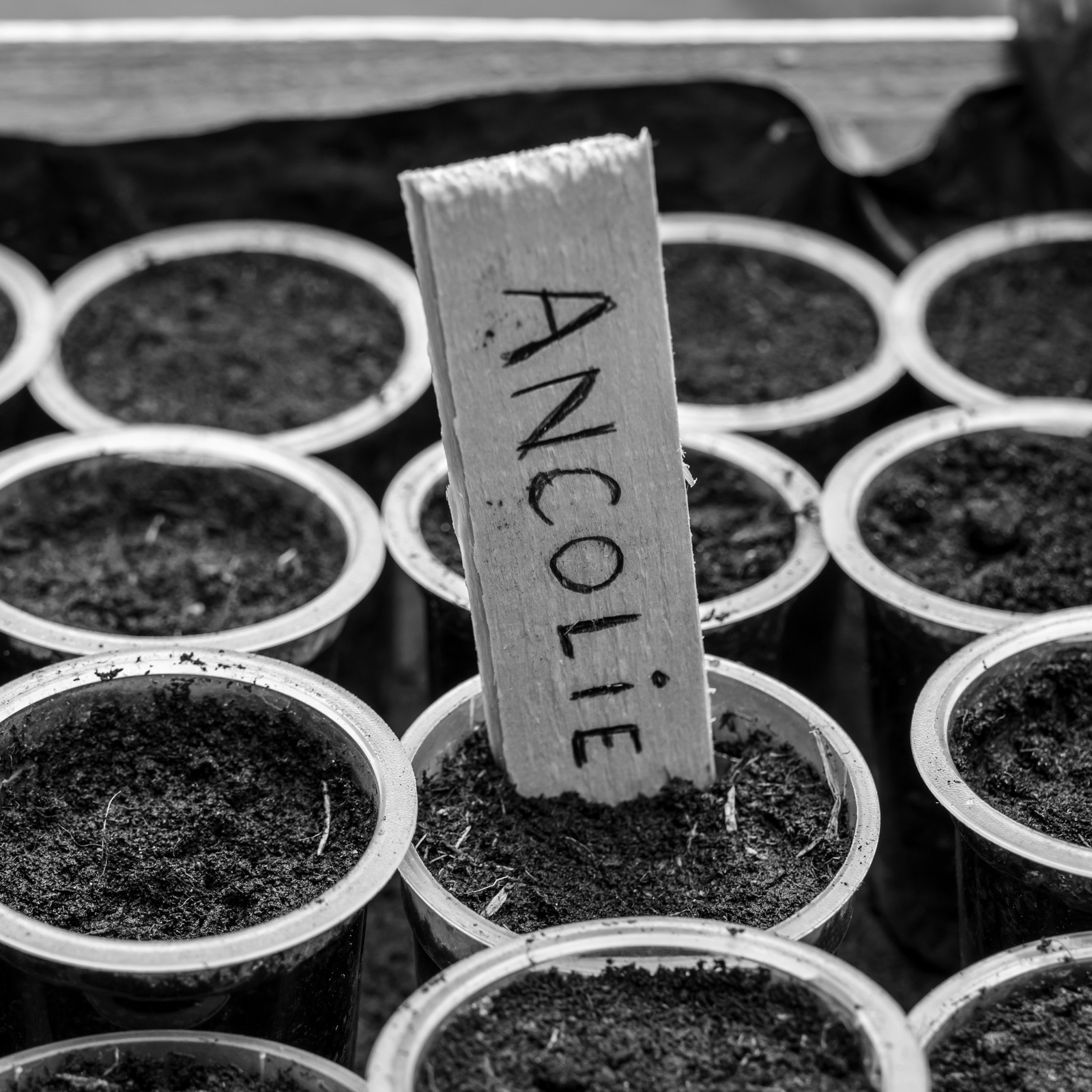 Le Noyer, village champsaurin