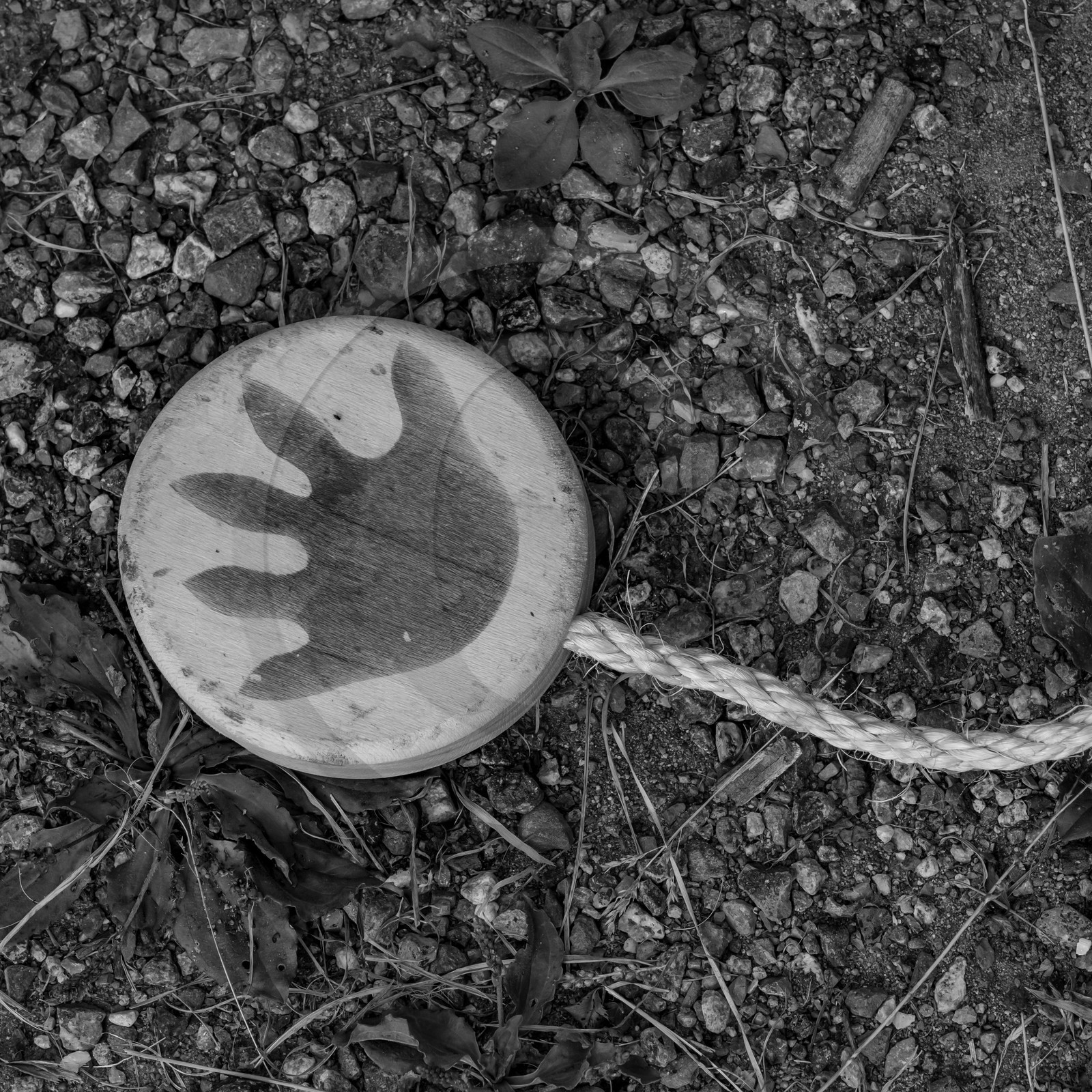 08 septembre 2021 : des jeux et des aménagements au jardin 08 septembre 2021 : des jeux et des aménagements au jardin