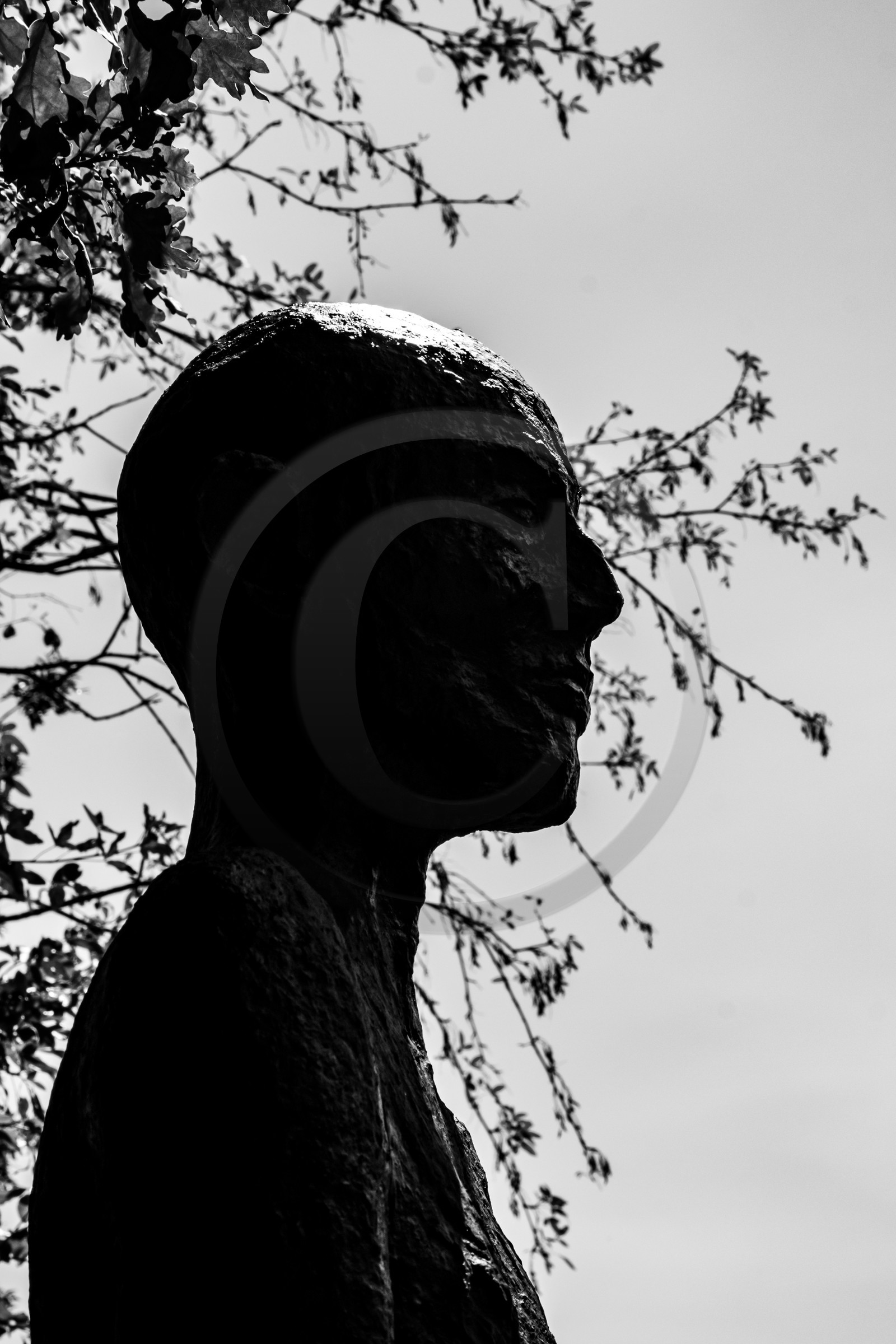 Exposition La forêt d'hommes, une création de Barbara Fougnon, artiste plasticienne Exposition La forêt d'hommes, une création de Barbara Fougnon, artiste plasticienne