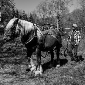L'Ouort de Bénévent - 17 avril 2017