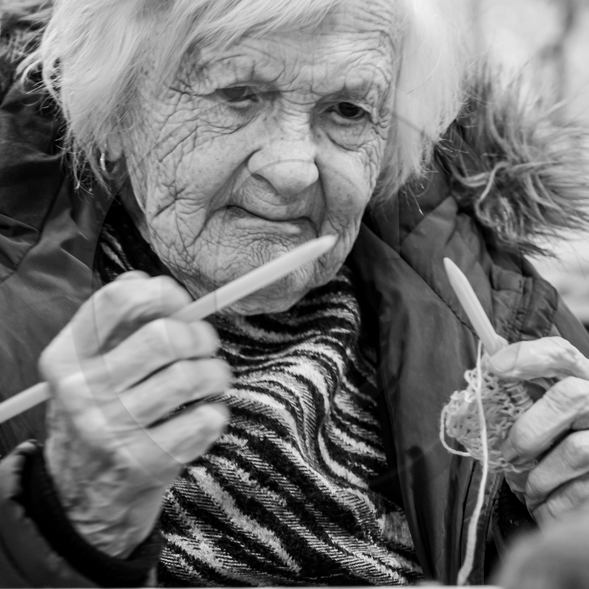 04 mai 2022 : atelier laine