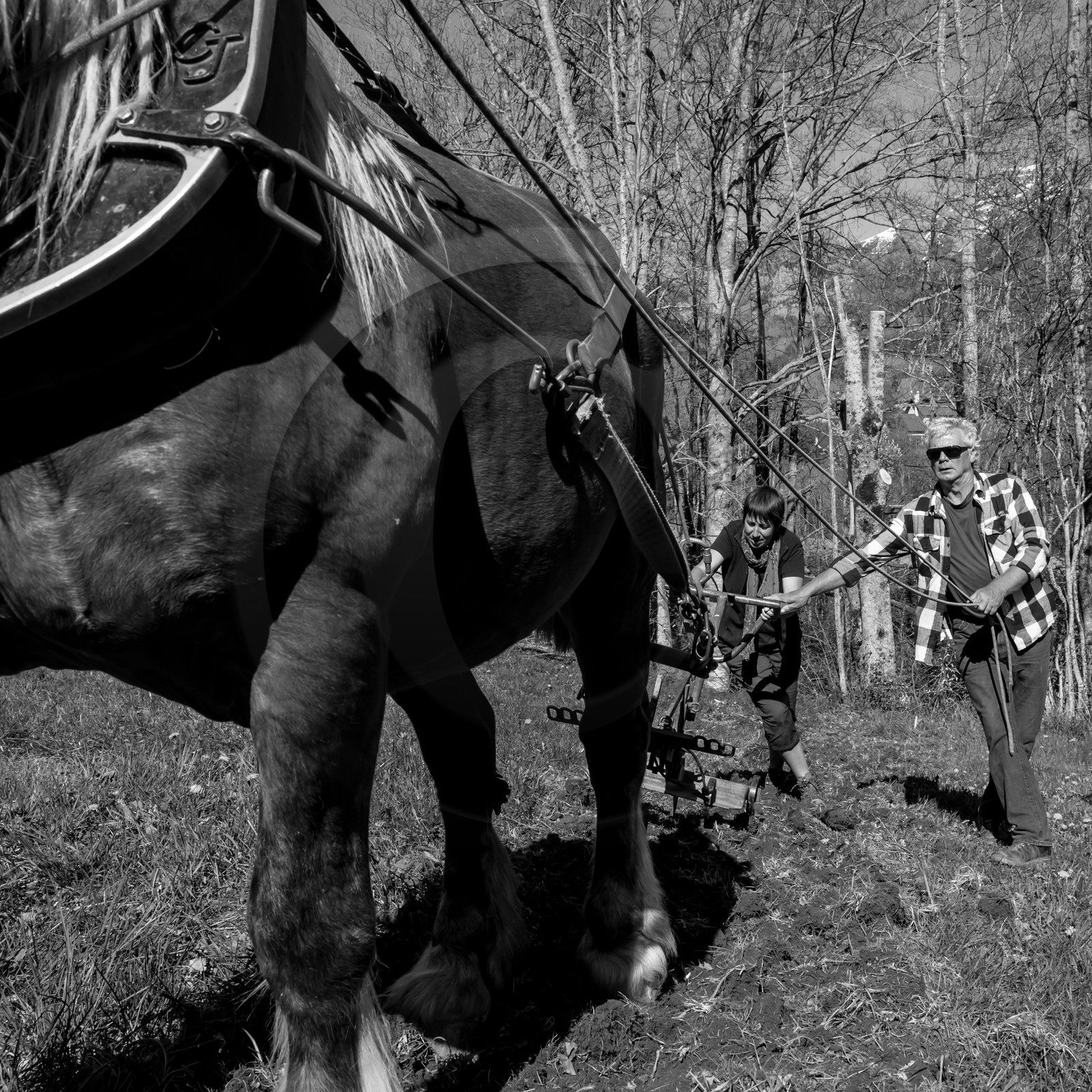 L'Ouort de Bénévent - 17 avril 2017