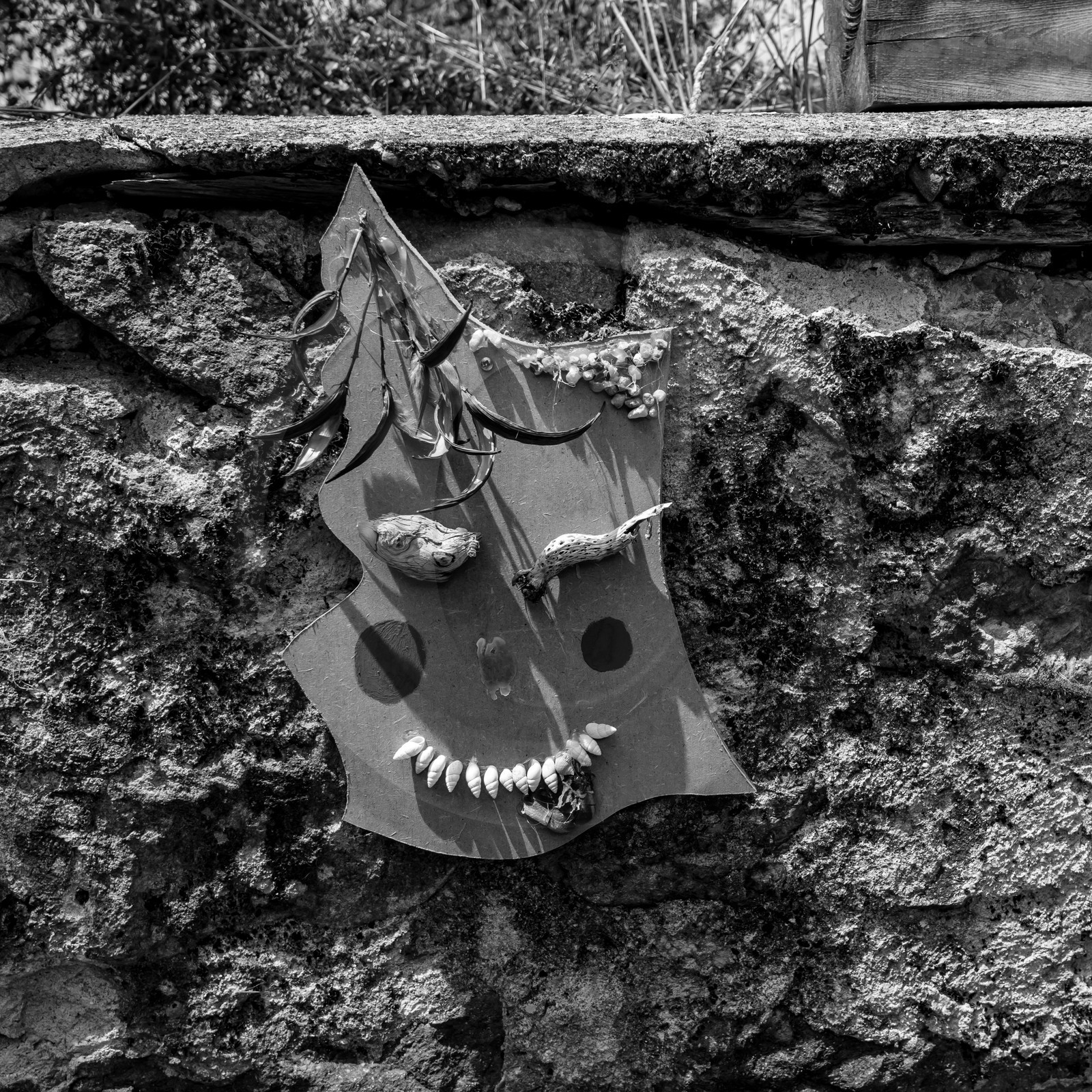 14 juillet 2021 : De la terre et des masques