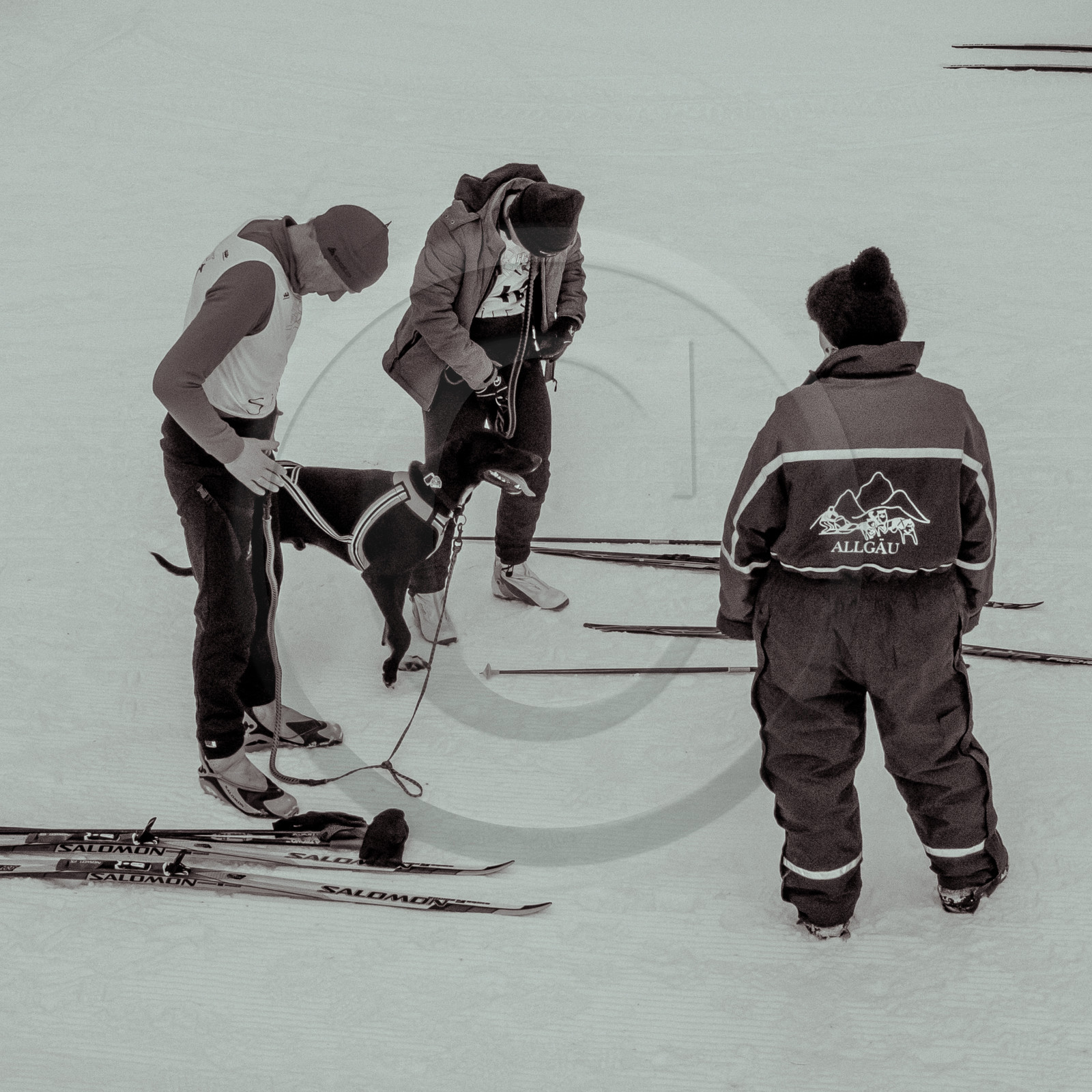 La Valgaude Traineau 2015
