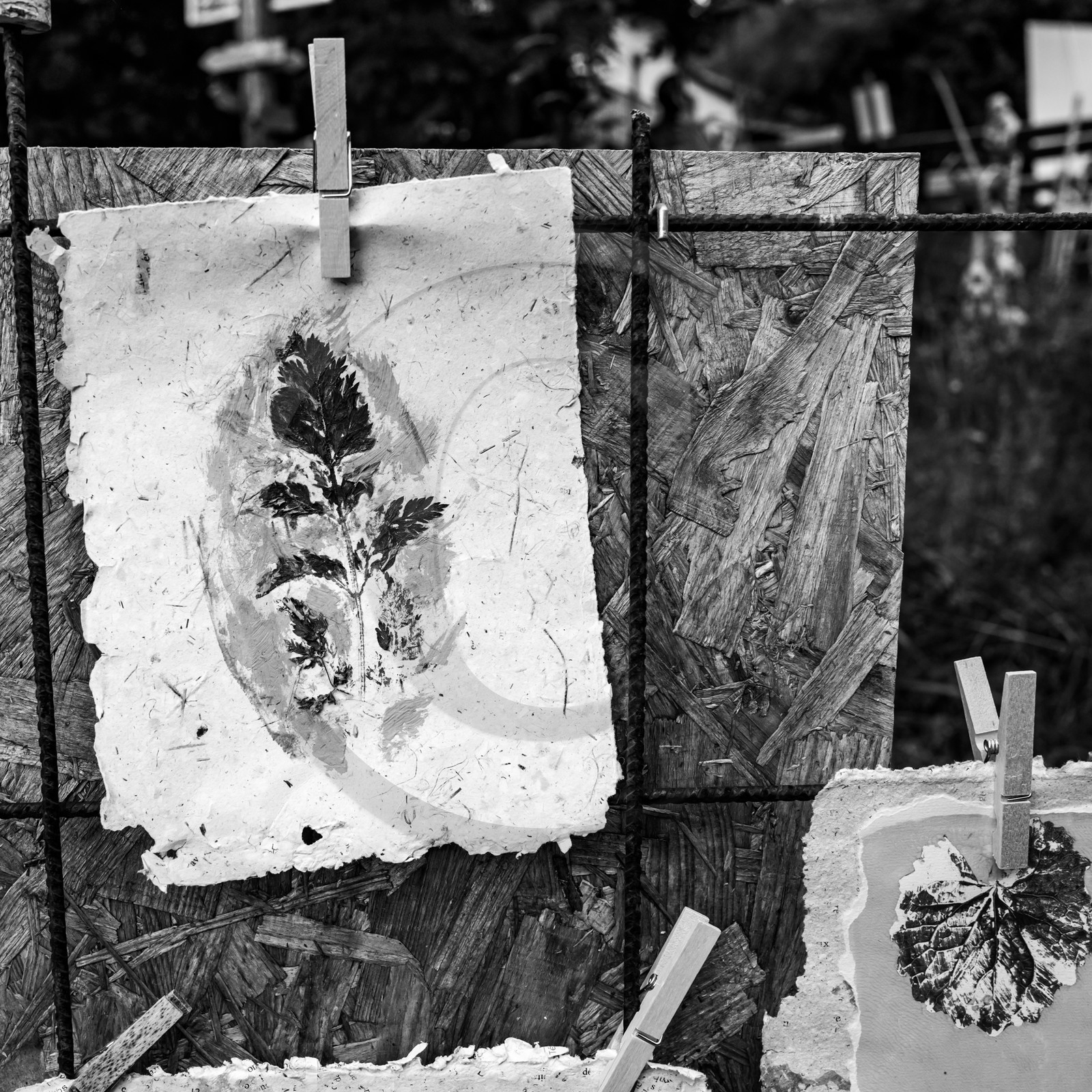 Présentation des réalisation de la saison à l'occasion de la semaine nationale des aidants - Avec la participation de Territoires Aidants