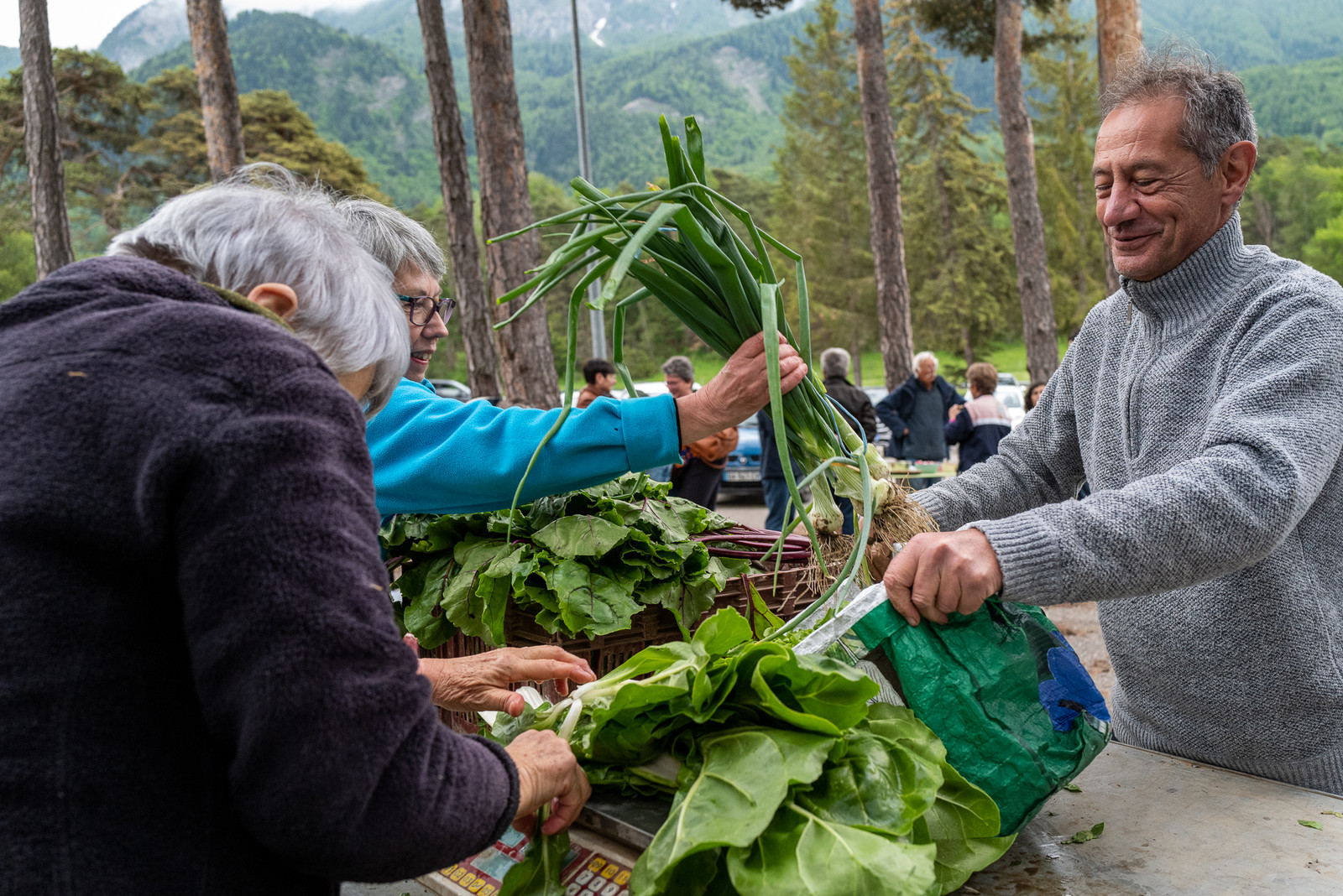 31 mai 2025 : AMAP du Champsaur - Distribution 31 mai 2025 : AMAP du Champsaur - Distribution