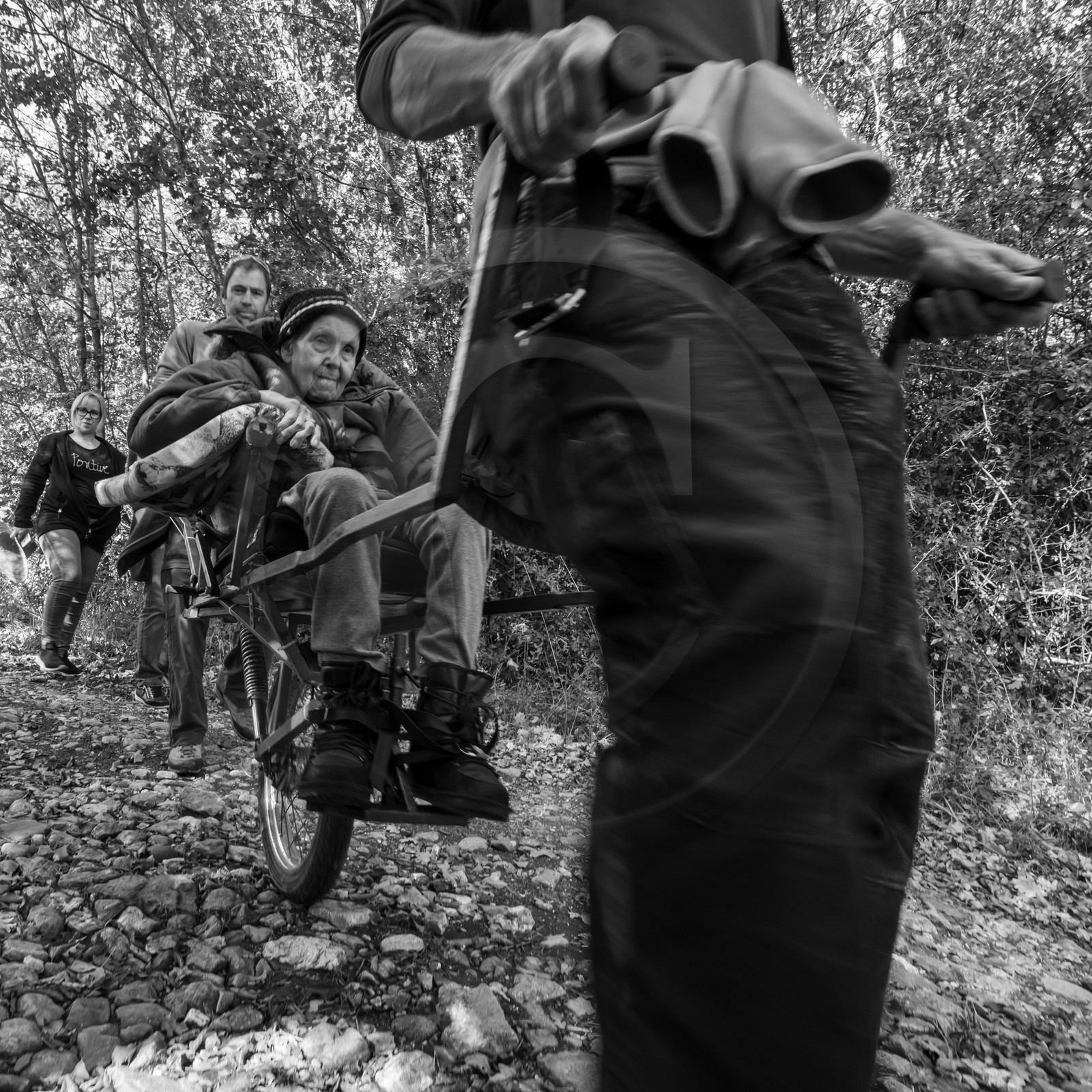 02 octobre 2019 : promenade en joelette