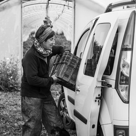 Maraichage biologique dans le Champsaur