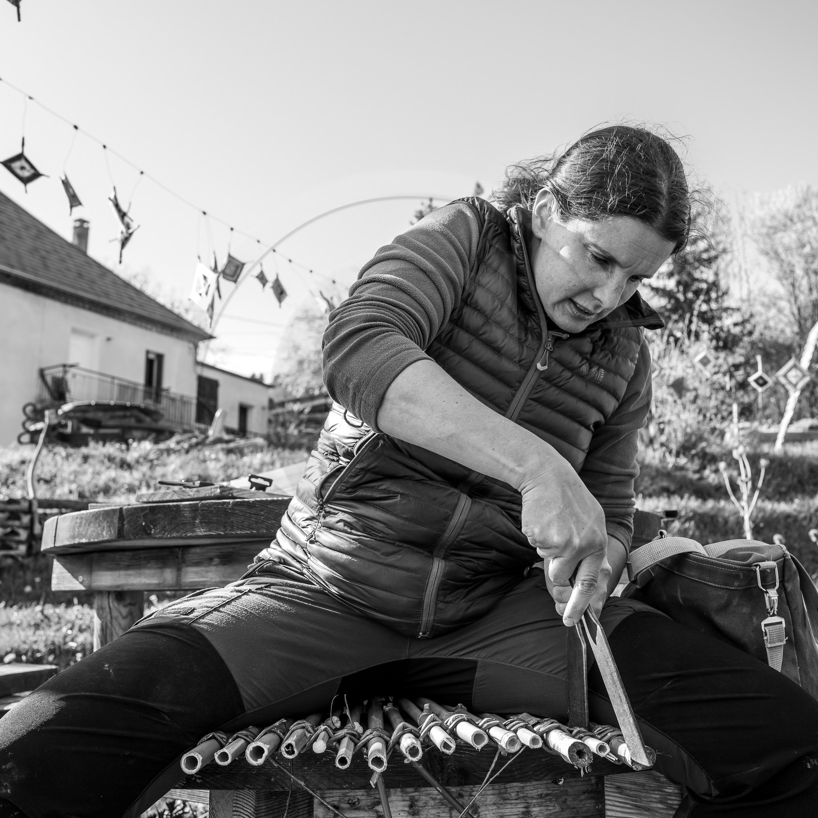 10 avril 2024 : Osier, laine et taille 10 avril 2024 : Osier, laine et taille