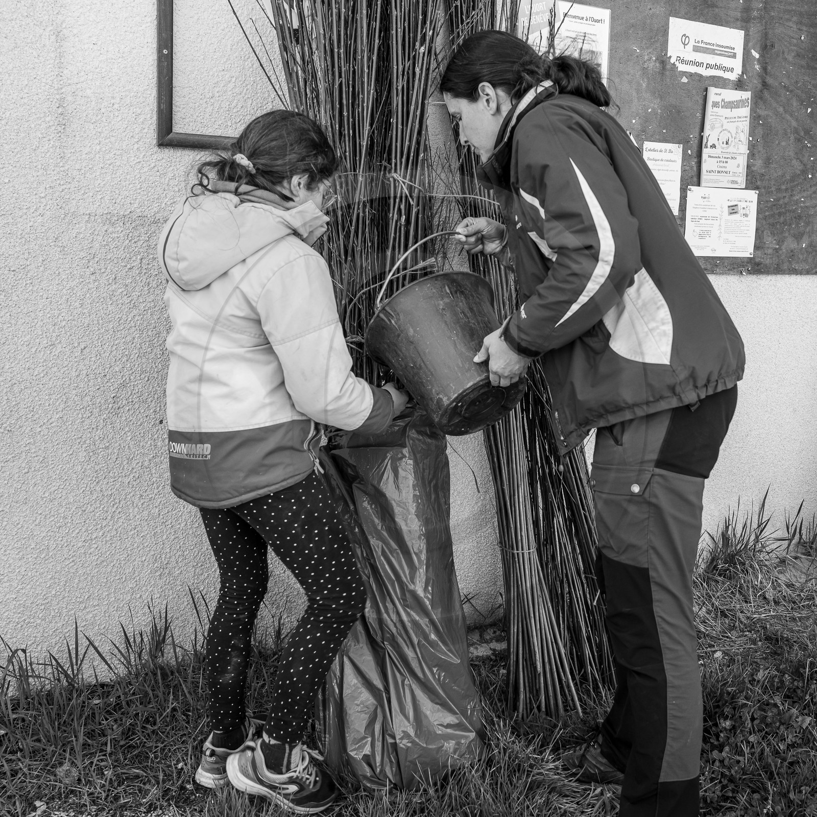 10 avril 2024 : Osier, laine et taille 10 avril 2024 : Osier, laine et taille
