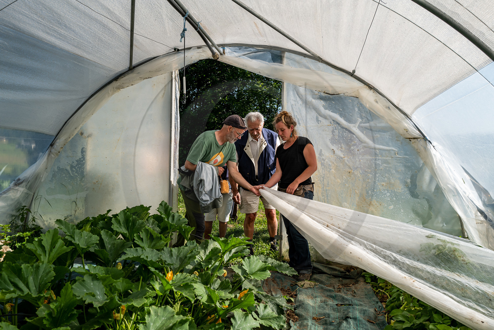 Légumontagne : maraichage biologique à Ancelle