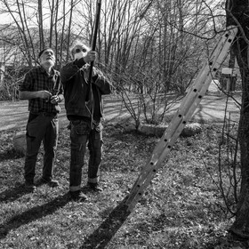 24 février 2021 : on taille, on prépare le jardin...