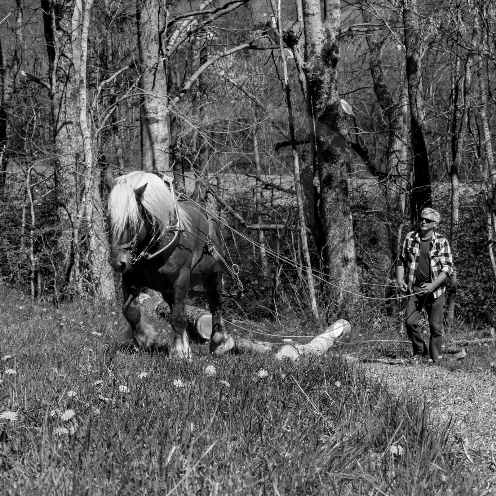L'Ouort de Bénévent - 17 avril 2017