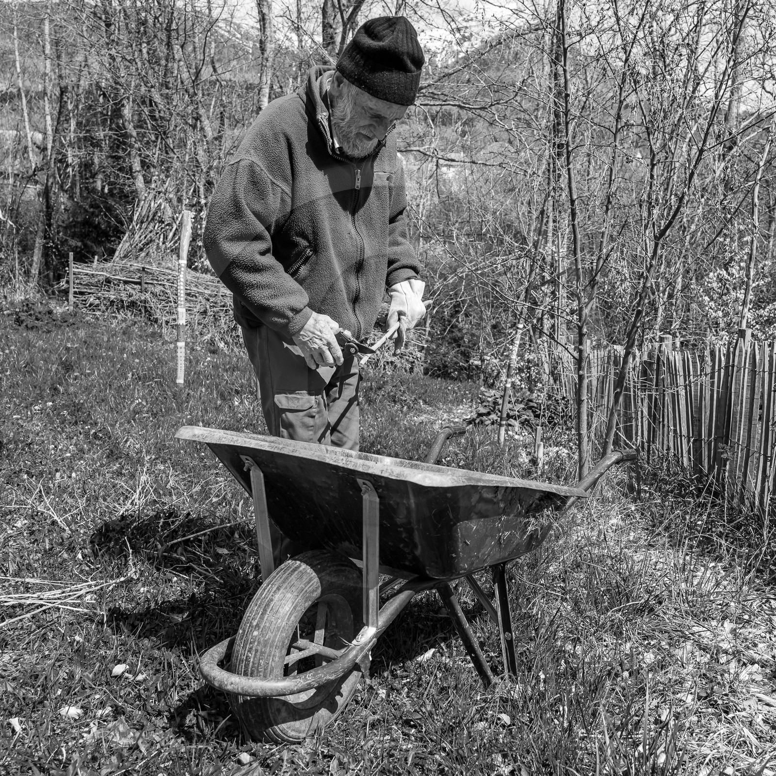 10 avril 2024 : Osier, laine et taille