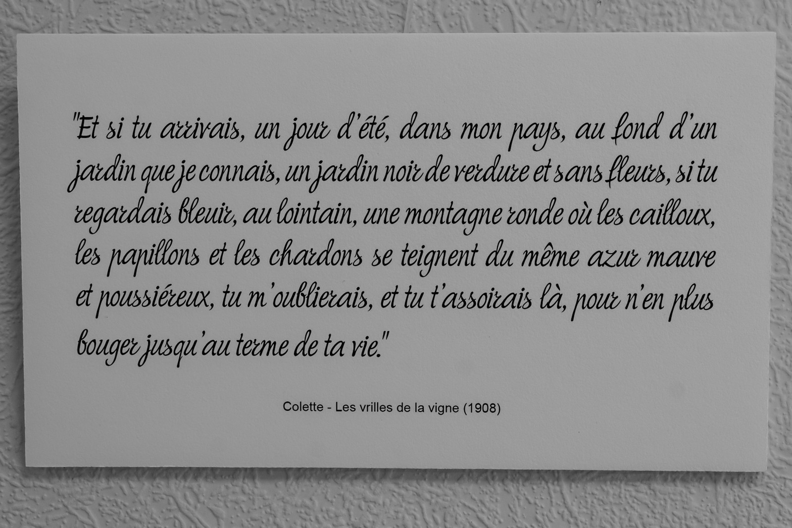 08 octobre : Argile, jeux et exposition