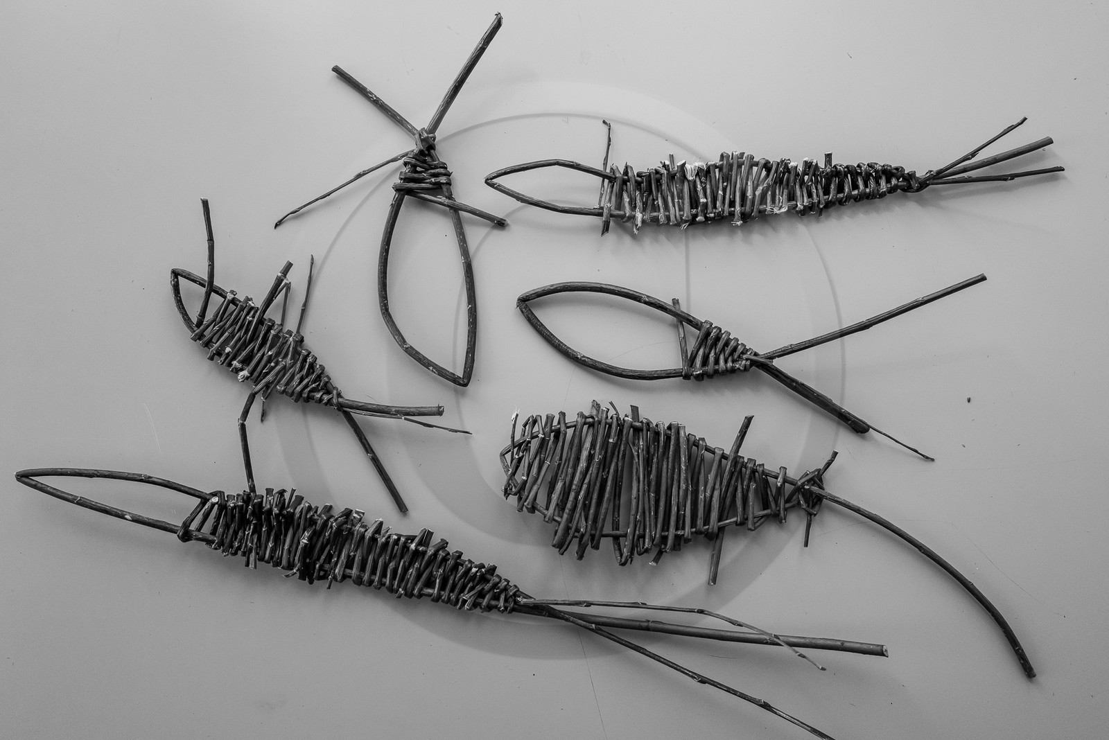 10 avril 2024 : Osier, laine et taille 10 avril 2024 : Osier, laine et taille