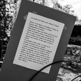 14 mai 2023 : Vide-Jardin