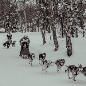 La Valgaude Traineau 2015