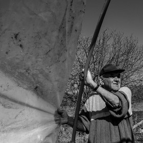 Montage de serres tunnel