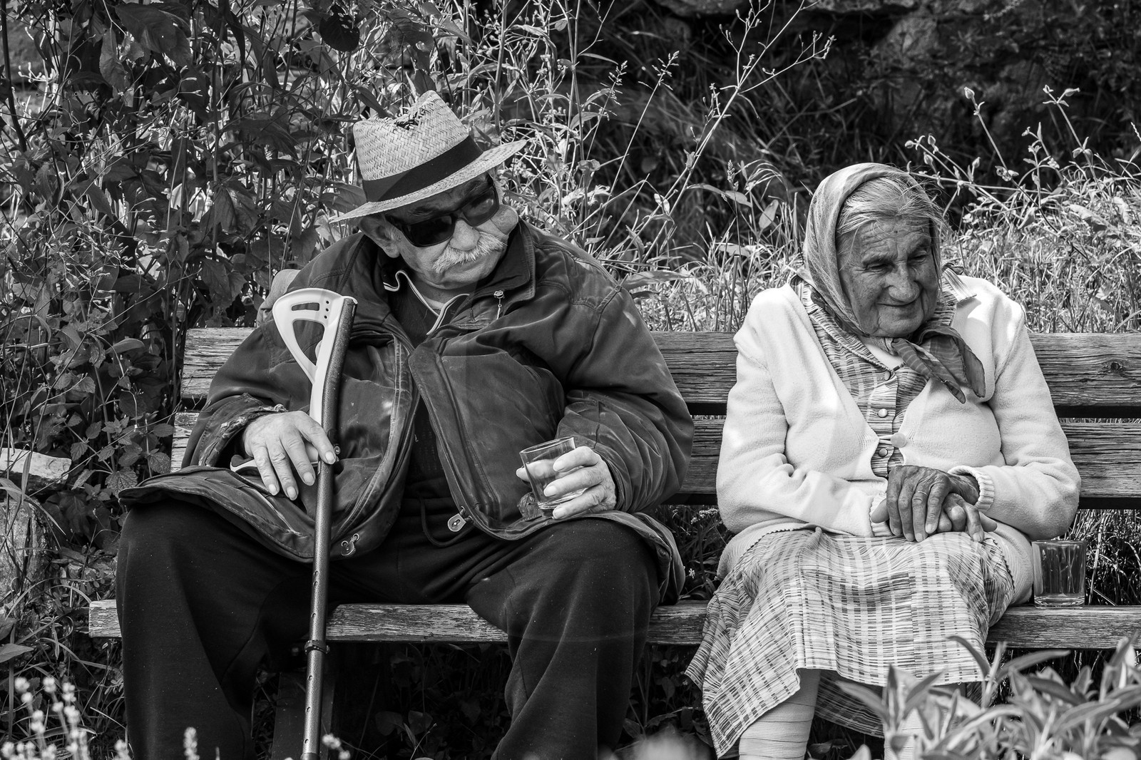 21 juin 2023 : Découverte botanique