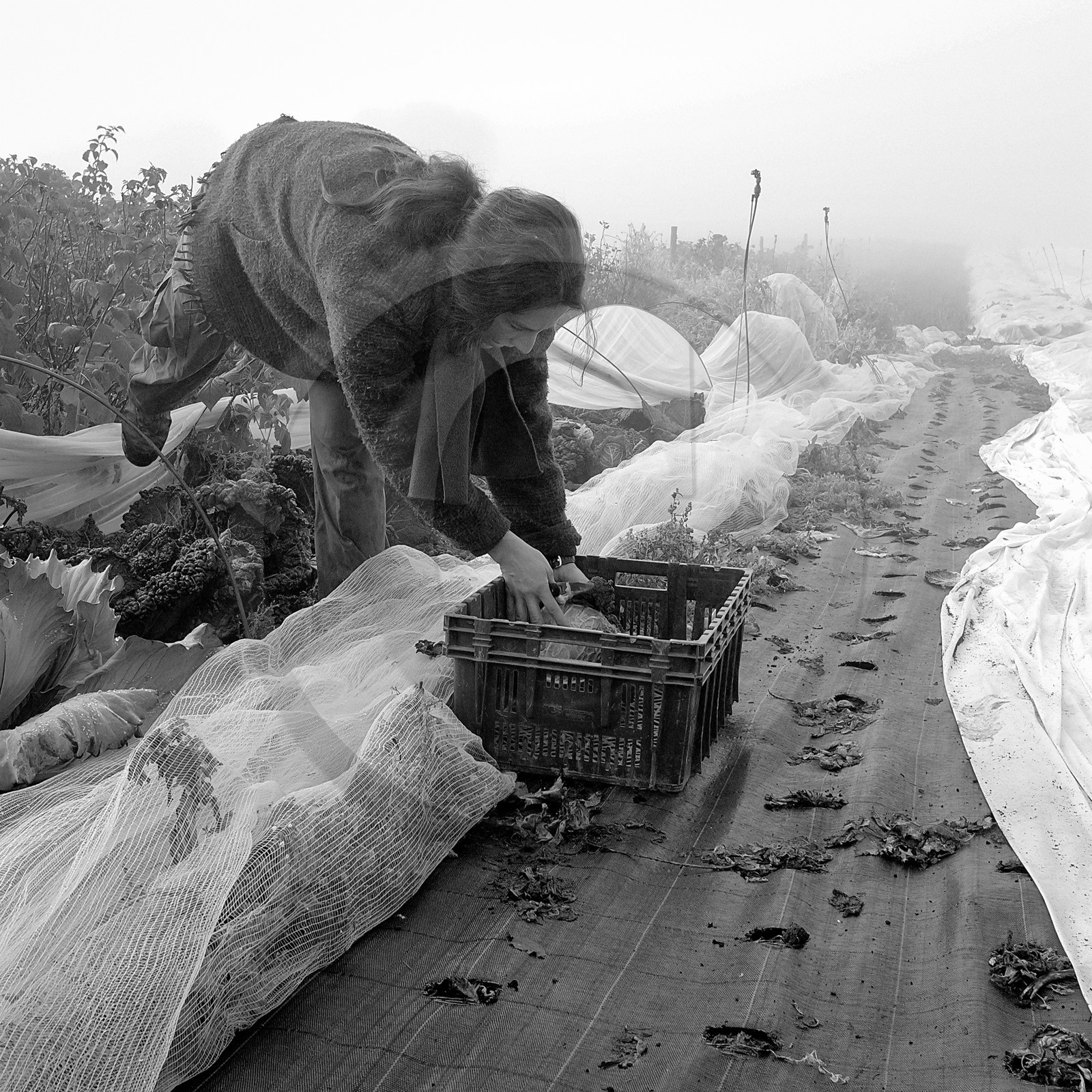 Sophie Jaussaud, maraichère à Ancelle Sophie Jaussaud, maraichère à Ancelle