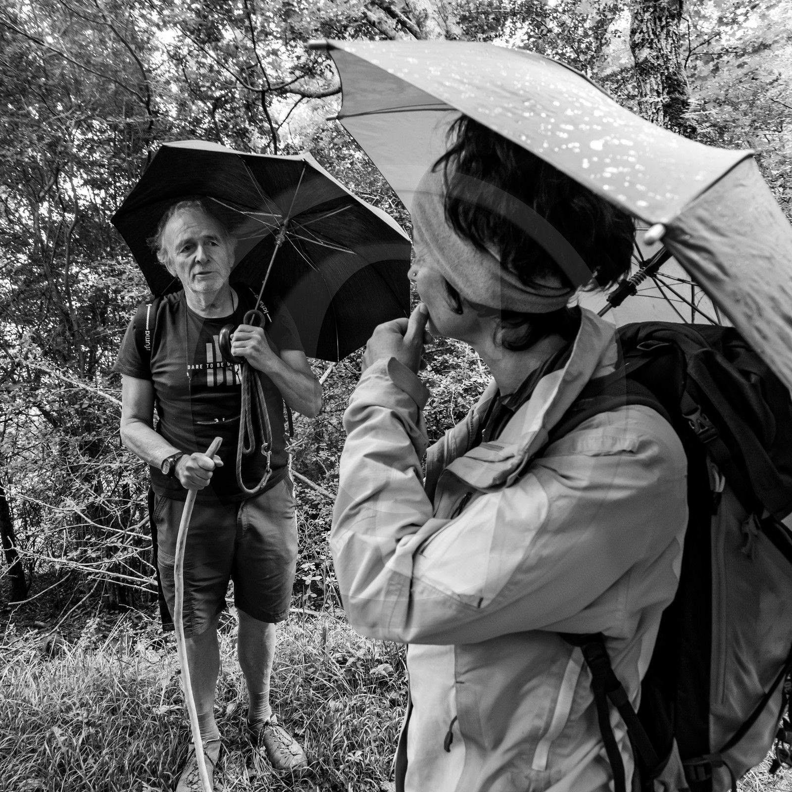 04 juillet 2021 : Journée Art & Nature