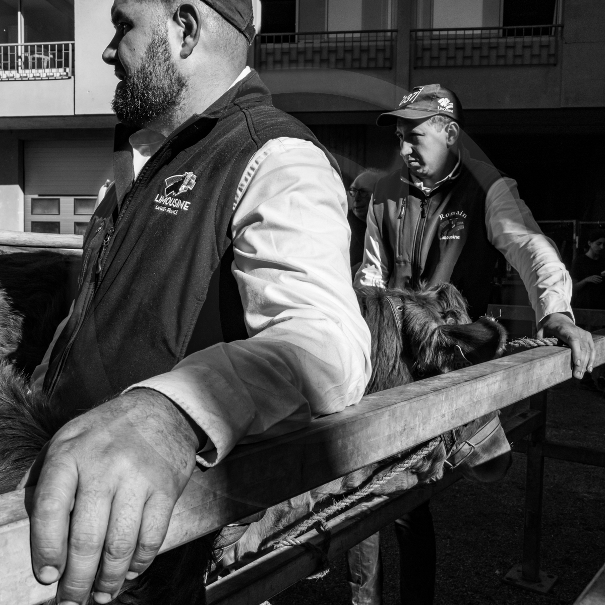 Rencontres paysannes à Saint-Bonnet en Champsaur