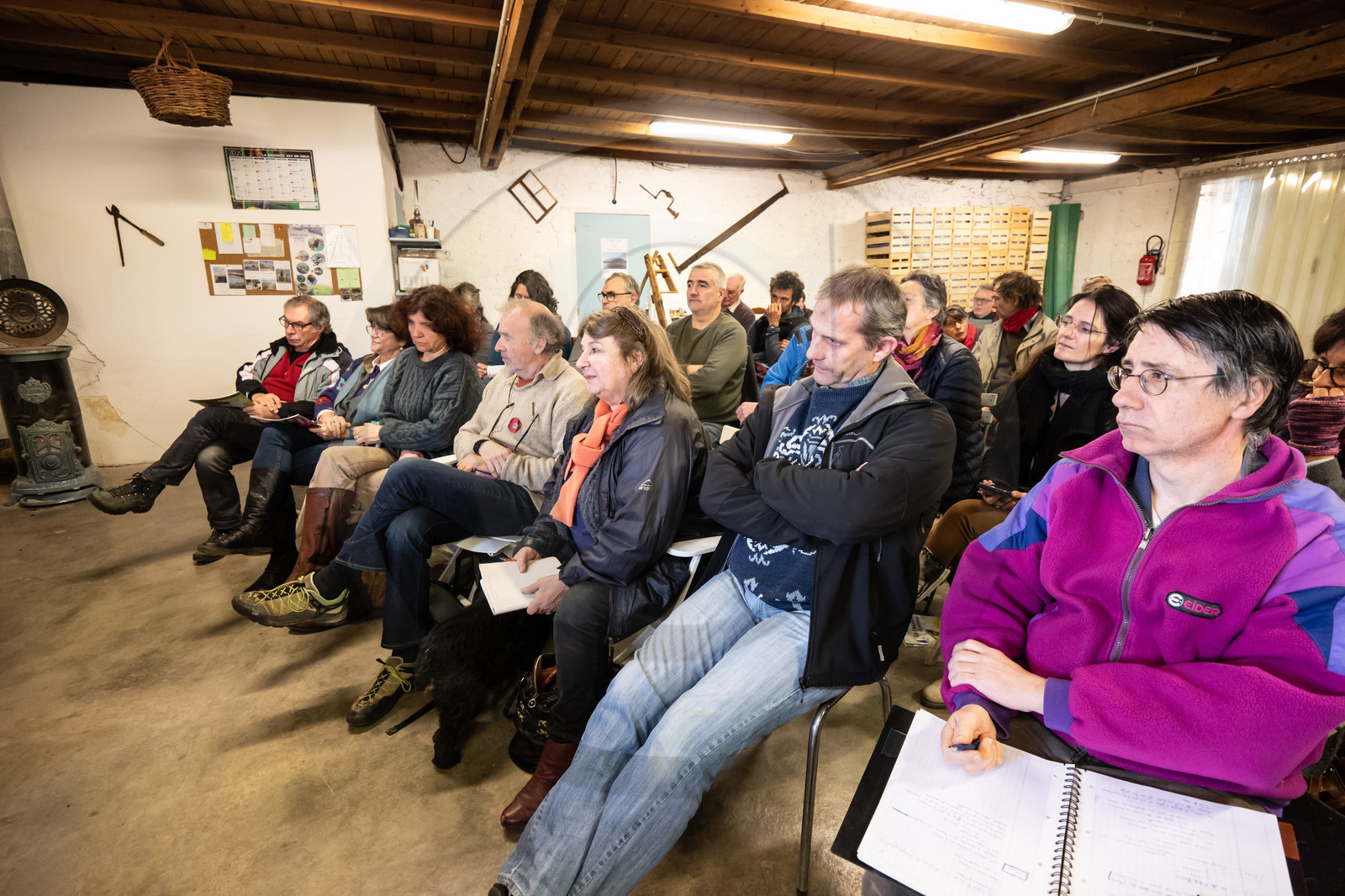 Croqueurs de pommes des Alpes Latines
