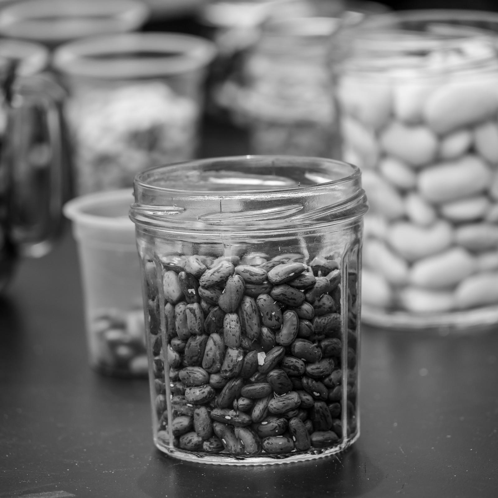 23 avril 2025 : Des oiseaux et des plantes