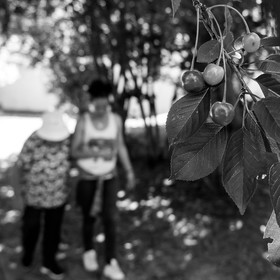 Promenade au jardin