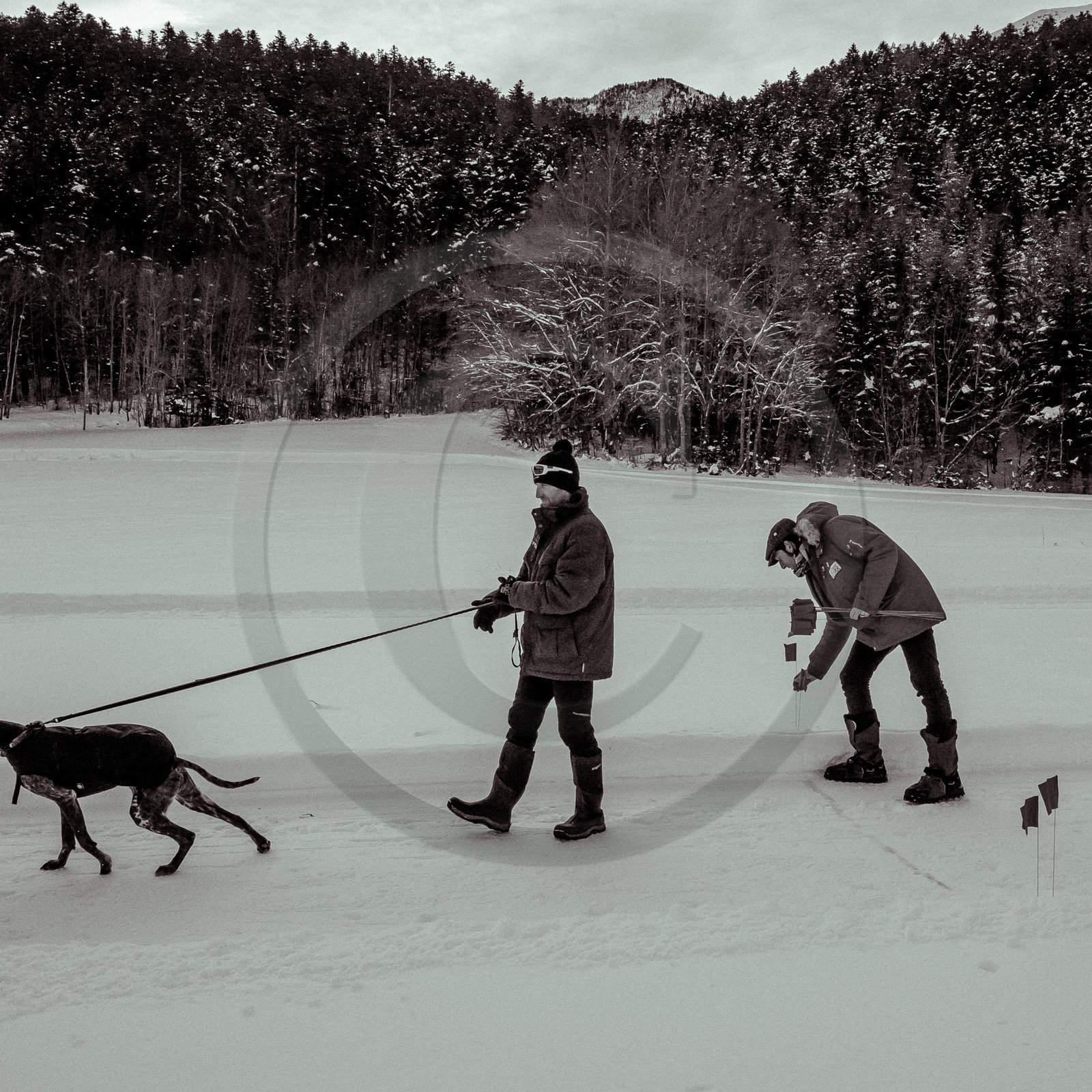 La Valgaude Traineau 2015 La Valgaude Traineau 2015