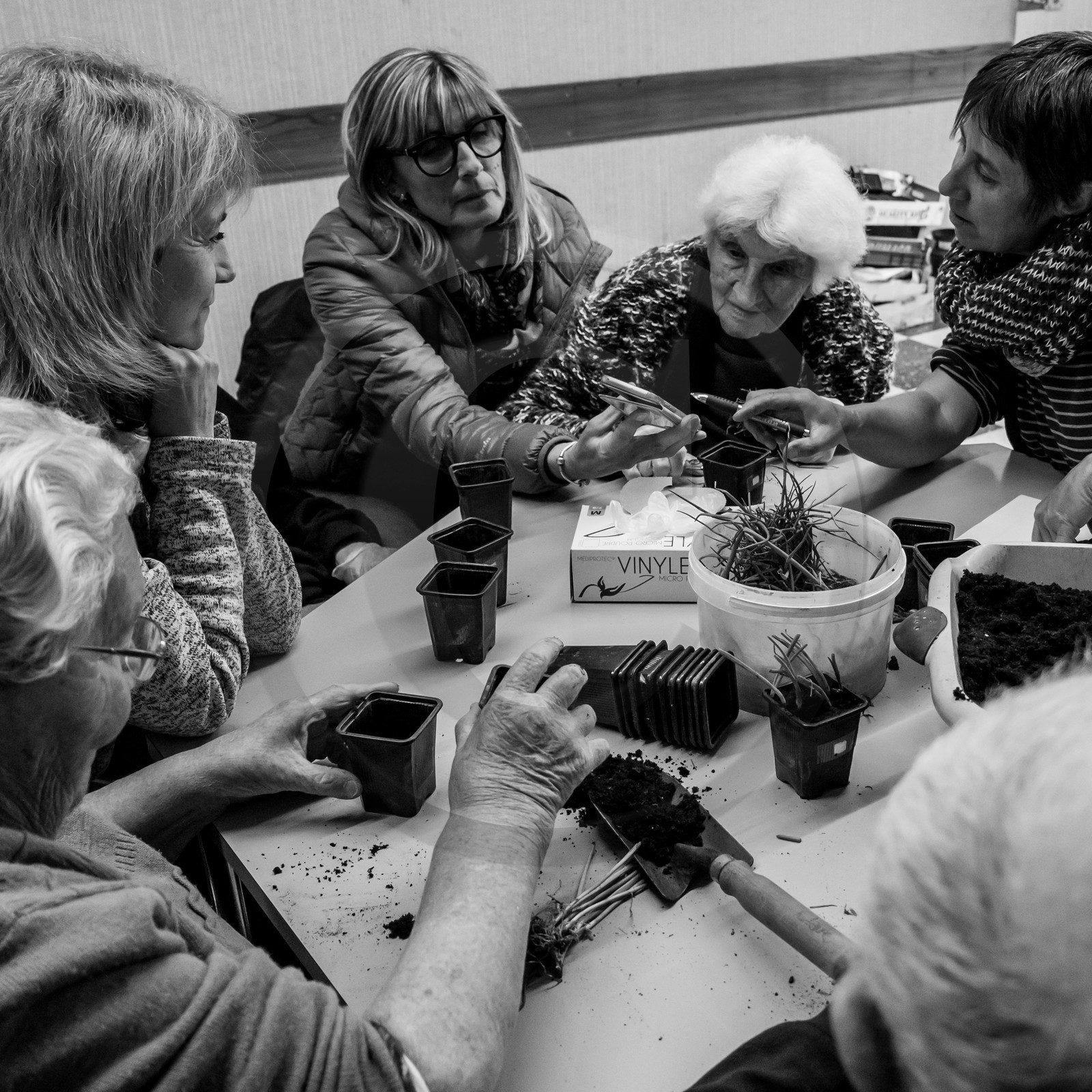 Atelier repiquage de plants de ciboulettes - 05 04 2017