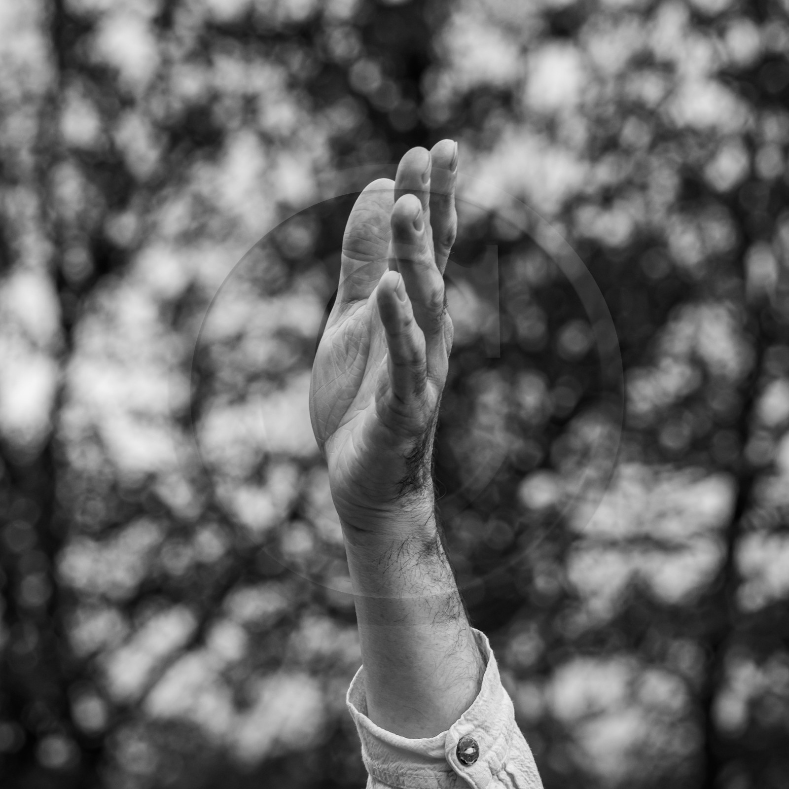 27 octobre 2024 : Contes avec Gilles Bougère 27 octobre 2024 : Contes avec Gilles Bougère