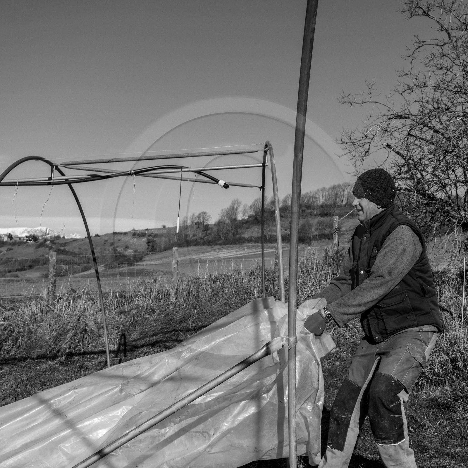 Montage de serres tunnel