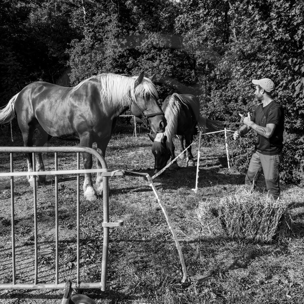 Jeanne Bleuse - Festival de Chaillol