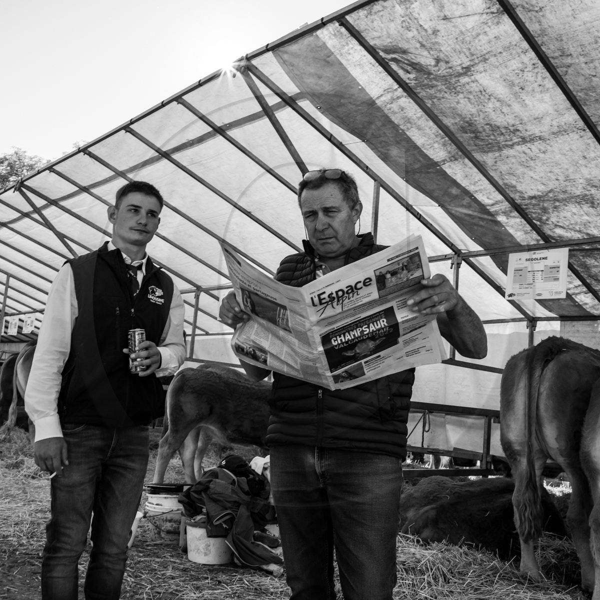 Rencontres paysannes à Saint-Bonnet en Champsaur