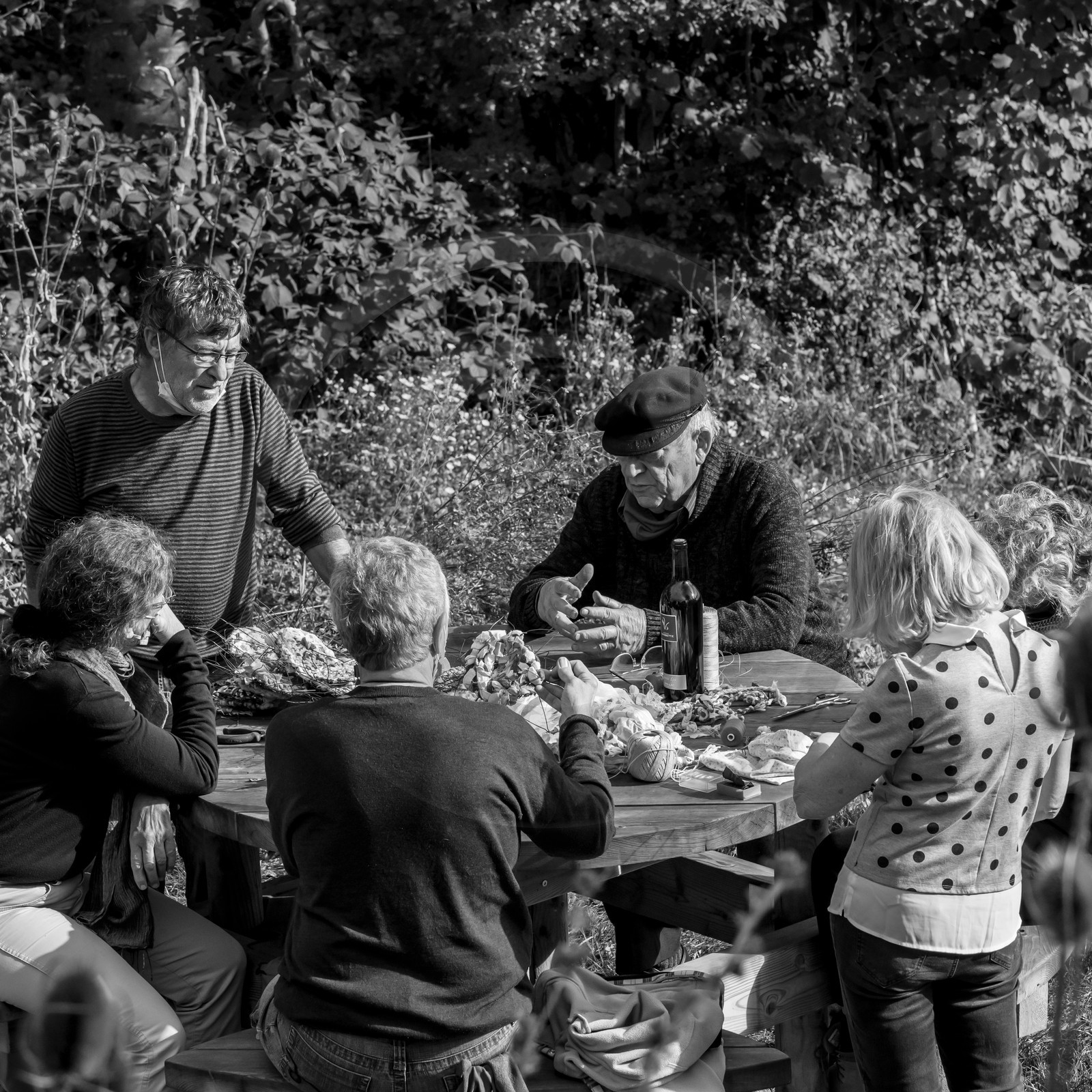 Semis, tournesols et jeux Semis, tournesols et jeux