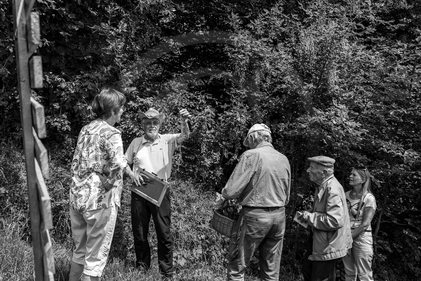 21 juin 2023 : Découverte botanique