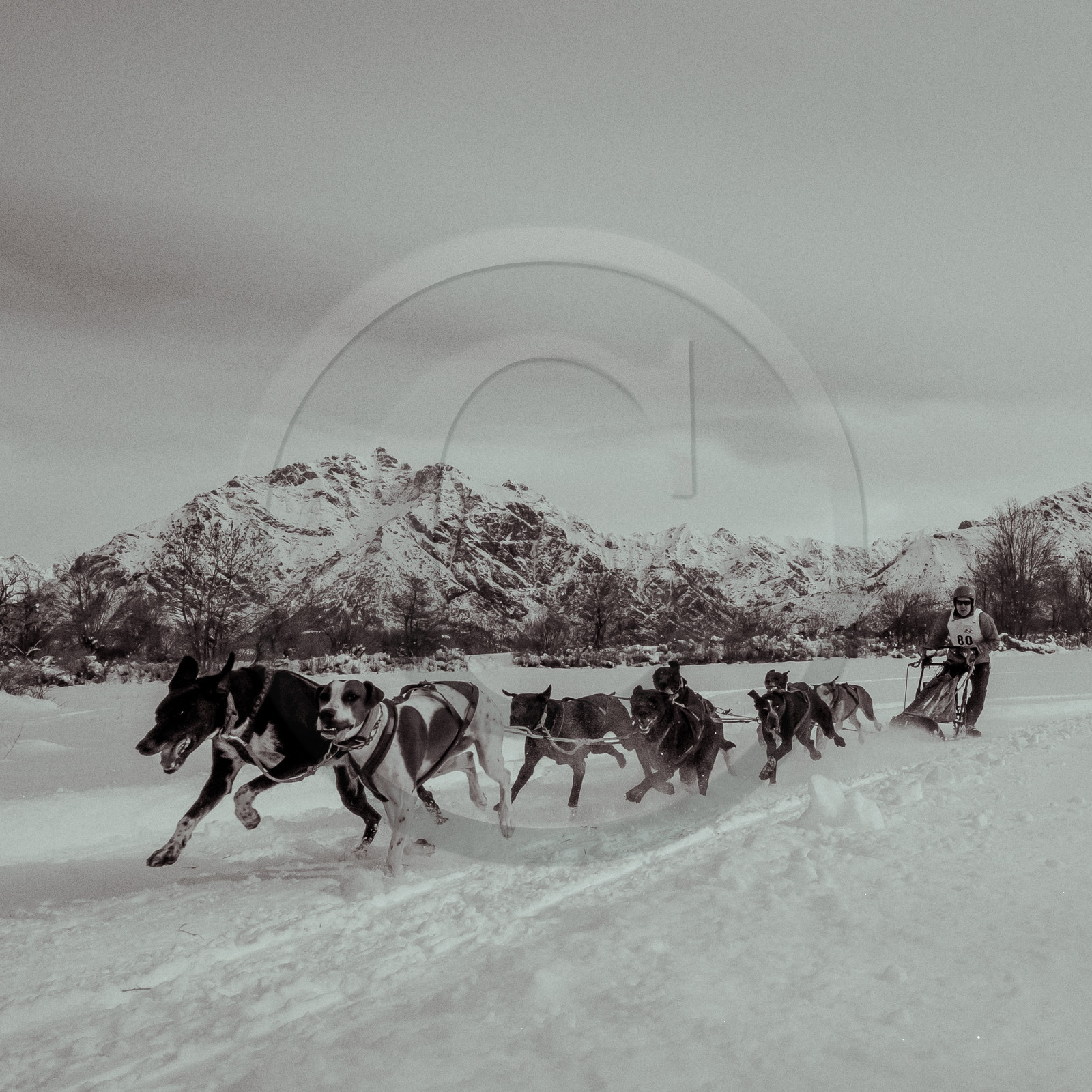 La Valgaude Traineau 2015
