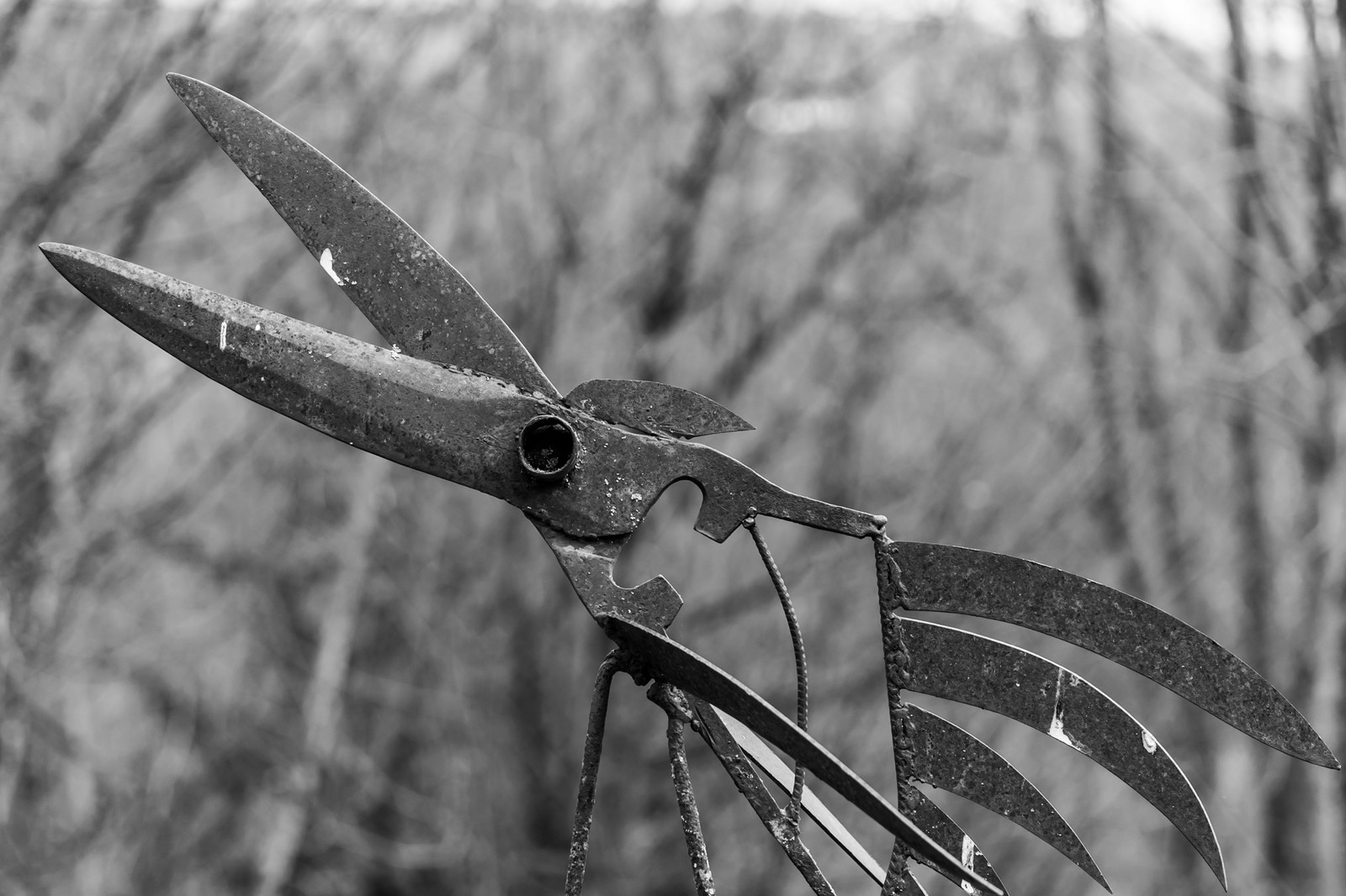 09 avril 2025 : des jeux, des chants et une AG