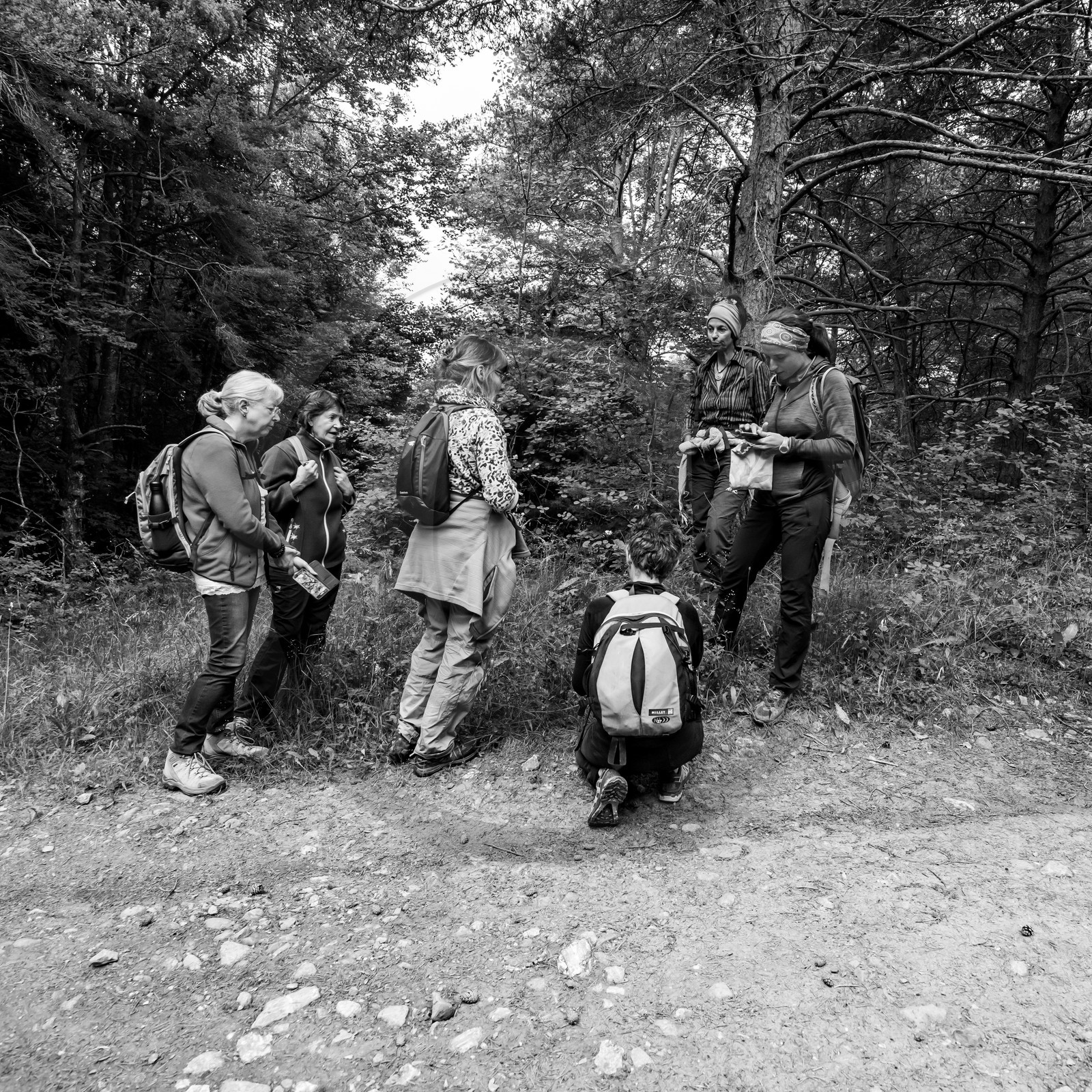 04 juillet 2021 : Journée Art & Nature