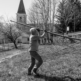 Nettoyage du terrain - Coupe du bois - 29 03 17