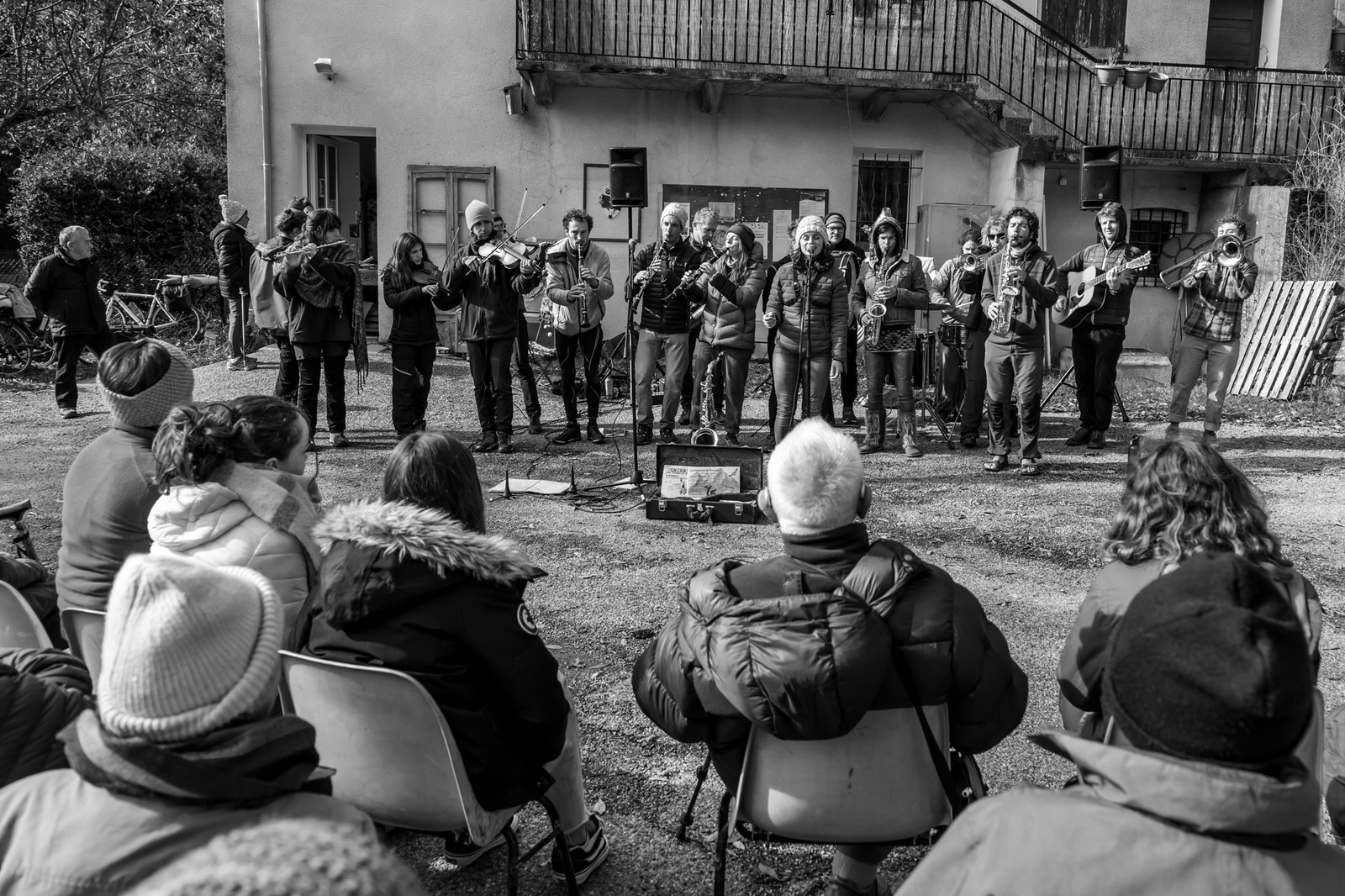 26 octobre 2025 : Les oiseaux de trottoir