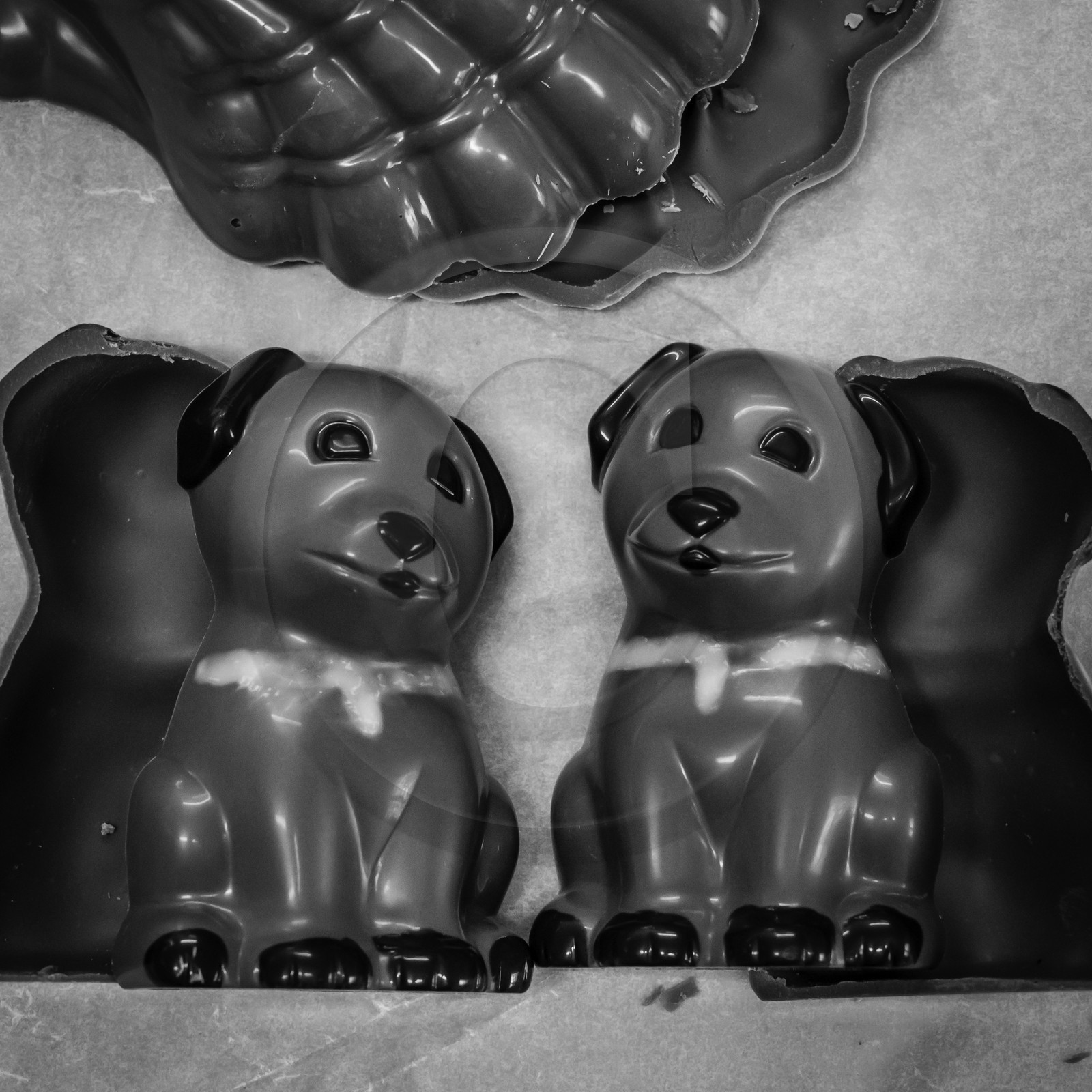 Thierry SIAT, Compagnon Chocolatier