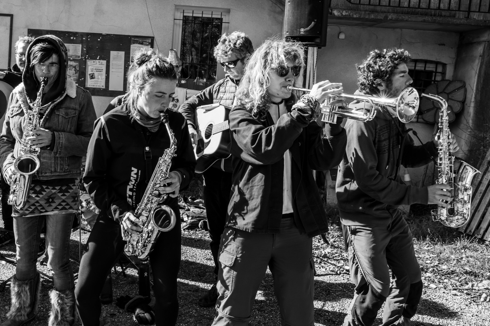 26 octobre 2025 : Les oiseaux de trottoir