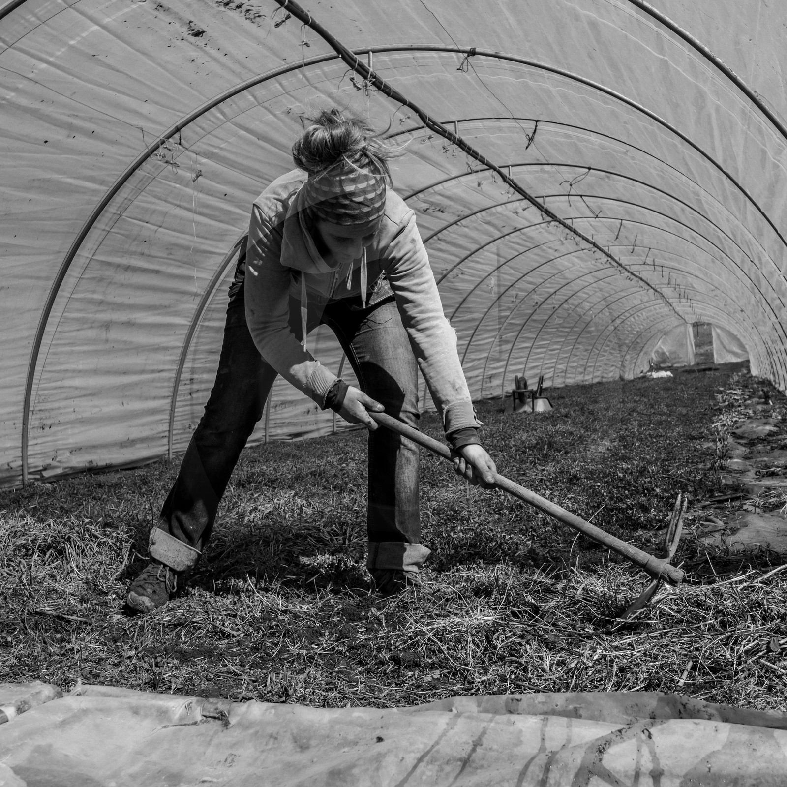 Montage de serres tunnel Montage de serres tunnel