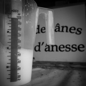 L'asinerie Le sentier des ânes