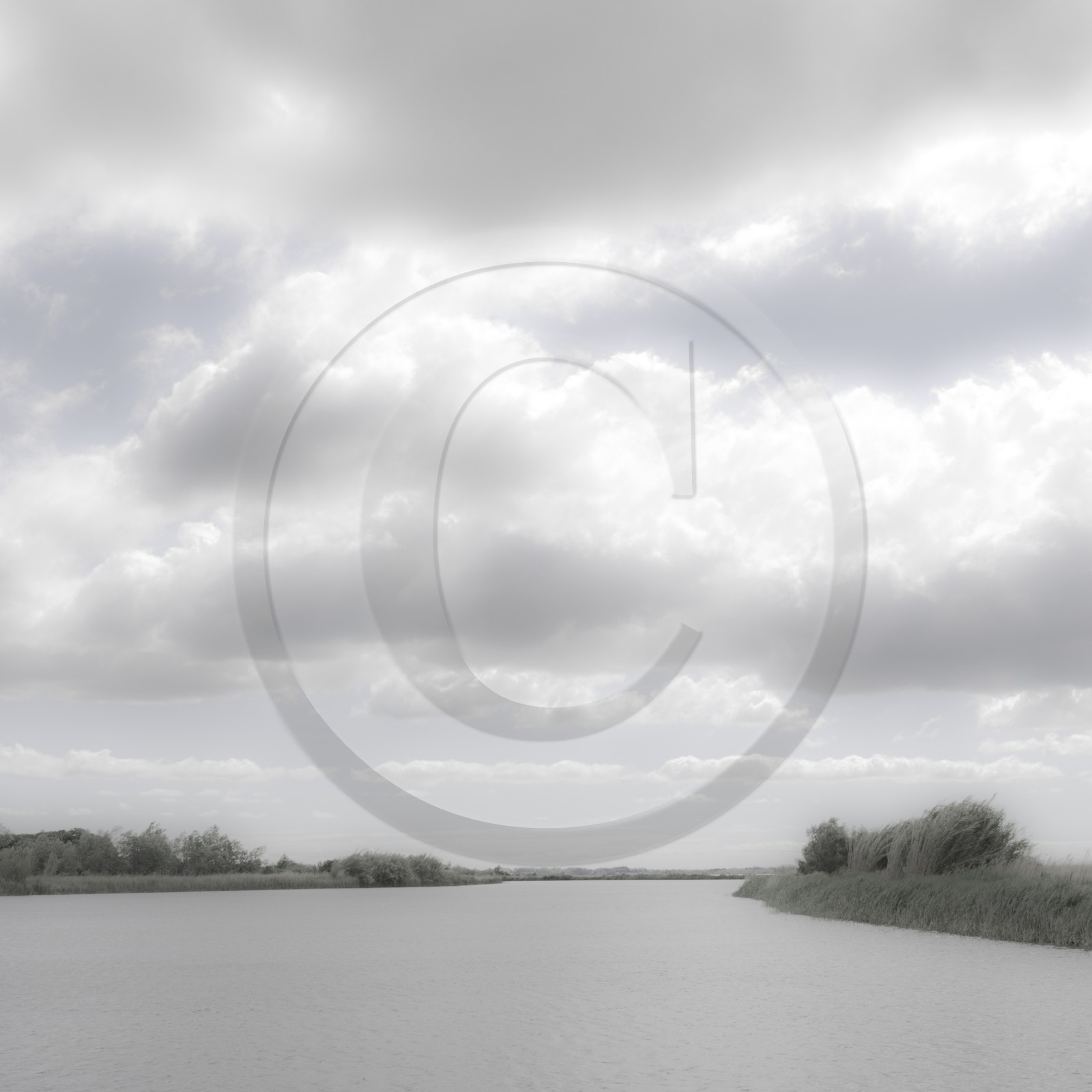 Camargue couleur pastel